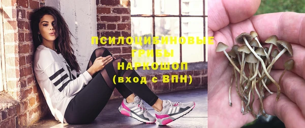 не бодяженный Верхний Тагил